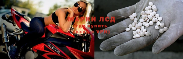 сатива Богданович