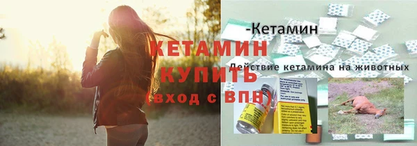сатива Богданович