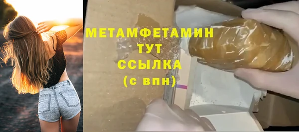 сатива Богданович