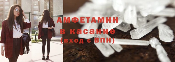 сатива Богданович