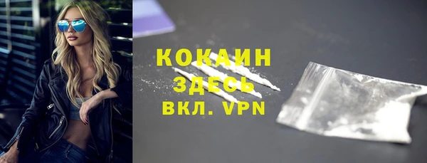 шишки Богородск