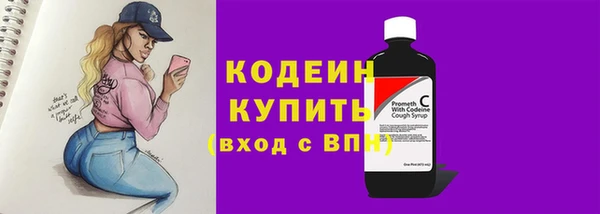 шишки Богородск