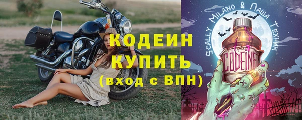шишки Богородск
